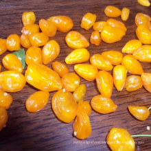 Chinese High Quality Organic Natural Yellow Goji Berry